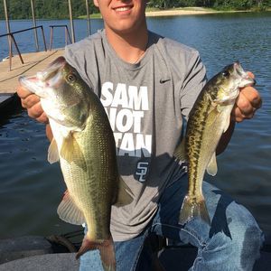 Meet your Posher, Logan